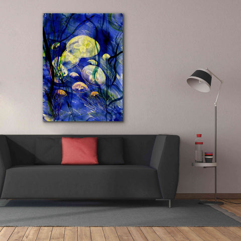 Image of 'Swimming With The Jellies' by Rita Shimelfarb, Giclee Canvas Wall Art,40x54