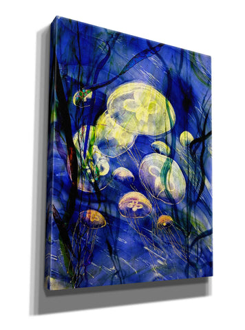Image of 'Swimming With The Jellies' by Rita Shimelfarb, Giclee Canvas Wall Art