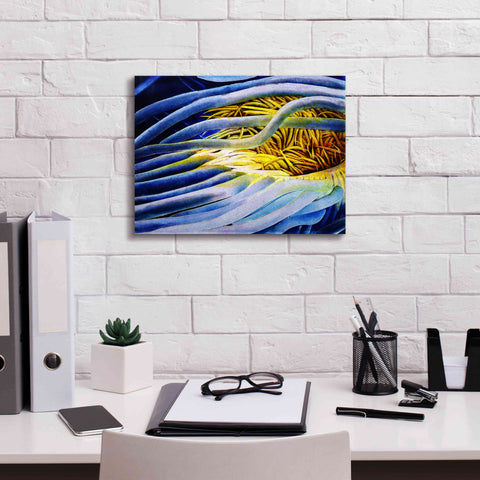 Image of 'Anemone Cerianthid' by Rita Shimelfarb, Giclee Canvas Wall Art,16x12