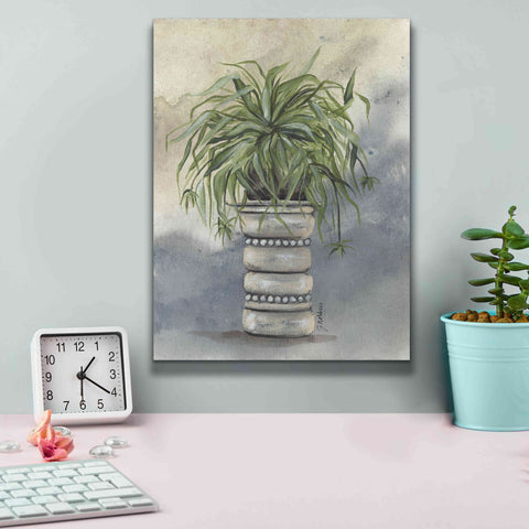 Image of 'Spider Plant in Pottery' by Julie Norkus, Giclee Canvas Wall Art,12x16
