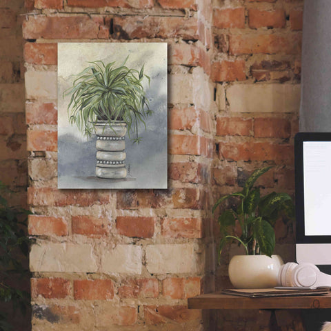 Image of 'Spider Plant in Pottery' by Julie Norkus, Giclee Canvas Wall Art,12x16