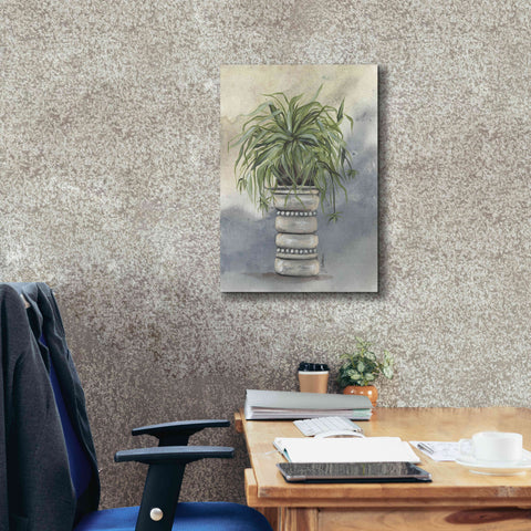 Image of 'Spider Plant in Pottery' by Julie Norkus, Giclee Canvas Wall Art,18x26
