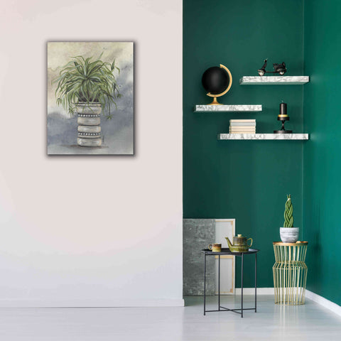 Image of 'Spider Plant in Pottery' by Julie Norkus, Giclee Canvas Wall Art,26x34