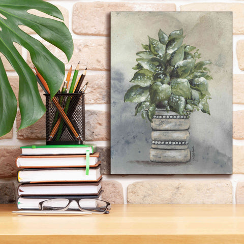 Image of 'Pathos in Pottery' by Julie Norkus, Giclee Canvas Wall Art,12x16