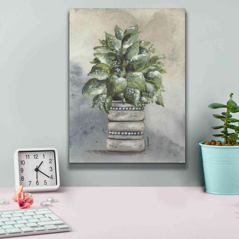 Image of 'Pathos in Pottery' by Julie Norkus, Giclee Canvas Wall Art,12x16