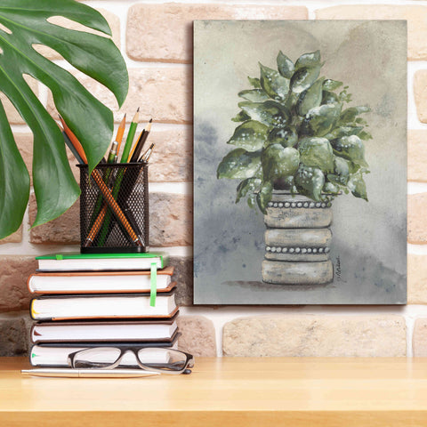 Image of 'Pathos in Pottery' by Julie Norkus, Giclee Canvas Wall Art,12x16