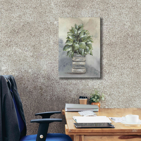 Image of 'Pathos in Pottery' by Julie Norkus, Giclee Canvas Wall Art,18x26