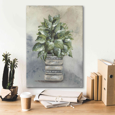 Image of 'Pathos in Pottery' by Julie Norkus, Giclee Canvas Wall Art,18x26