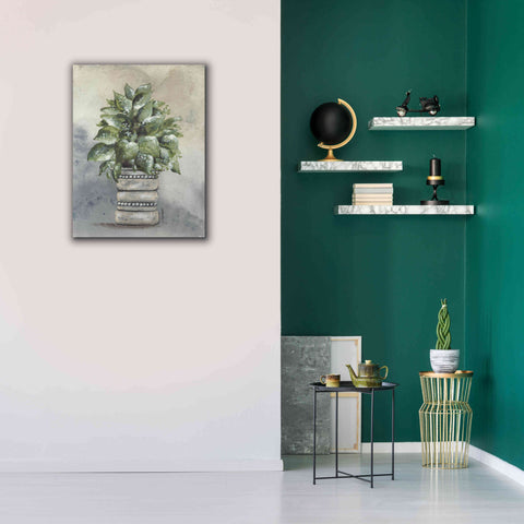 Image of 'Pathos in Pottery' by Julie Norkus, Giclee Canvas Wall Art,26x34