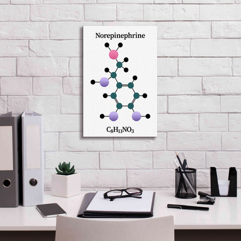 Image of 'Norepinephrine Molecule' by Epic Portfolio, Giclee Canvas Wall Art,12x18