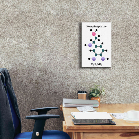 Image of 'Norepinephrine Molecule' by Epic Portfolio, Giclee Canvas Wall Art,12x18