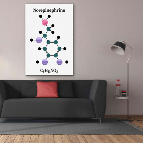 Image of 'Norepinephrine Molecule' by Epic Portfolio, Giclee Canvas Wall Art,40x60