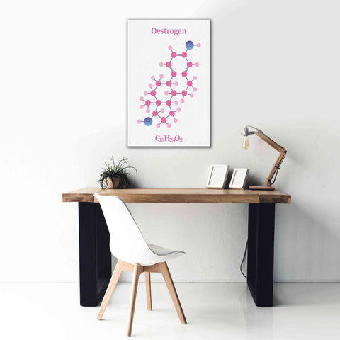 Image of 'Oestrogen Molecule' by Epic Portfolio, Giclee Canvas Wall Art,26x40