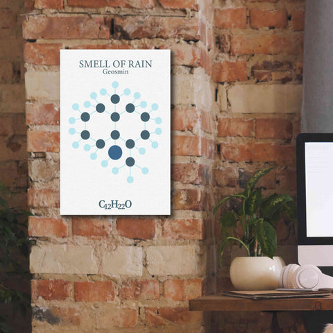 Image of 'Smell Of Rain Molecule' by Epic Portfolio, Giclee Canvas Wall Art,12x18