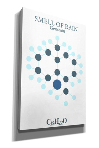 Image of 'Smell Of Rain Molecule' by Epic Portfolio, Giclee Canvas Wall Art