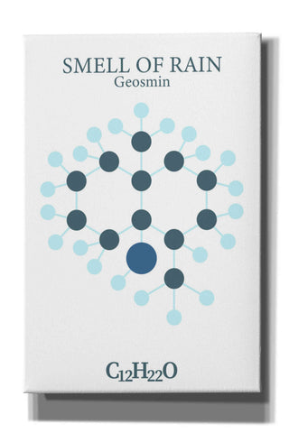 Image of 'Smell Of Rain Molecule' by Epic Portfolio, Giclee Canvas Wall Art