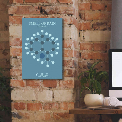 Image of 'Smell Of Rain Molecule 2' by Epic Portfolio, Giclee Canvas Wall Art,12x18