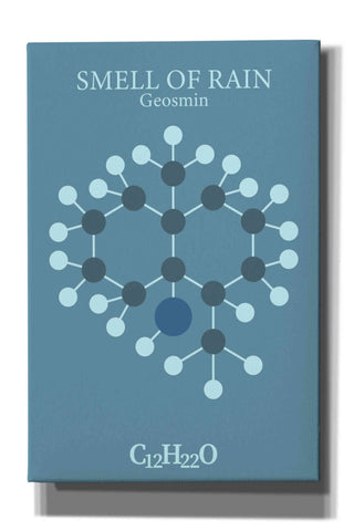 Image of 'Smell Of Rain Molecule 2' by Epic Portfolio, Giclee Canvas Wall Art