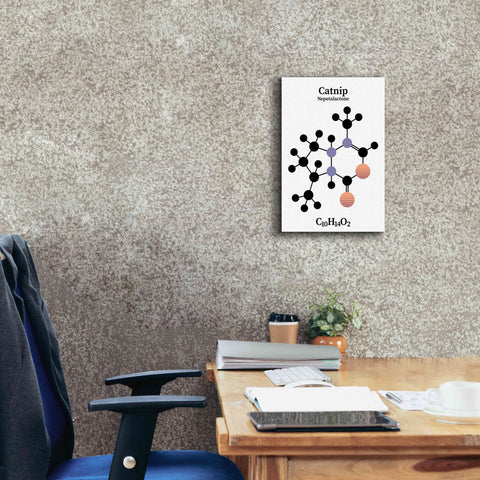 Image of 'Catnip Molecule' by Epic Portfolio, Giclee Canvas Wall Art,12x18