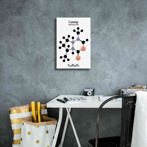 Image of 'Catnip Molecule' by Epic Portfolio, Giclee Canvas Wall Art,12x18