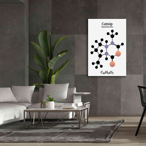 Image of 'Catnip Molecule' by Epic Portfolio, Giclee Canvas Wall Art,40x60