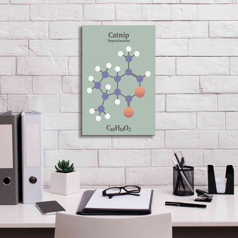 Image of 'Catnip Molecule 2' by Epic Portfolio, Giclee Canvas Wall Art,12x18
