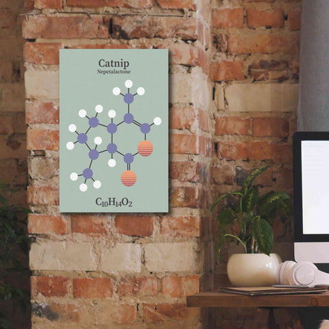 Image of 'Catnip Molecule 2' by Epic Portfolio, Giclee Canvas Wall Art,12x18