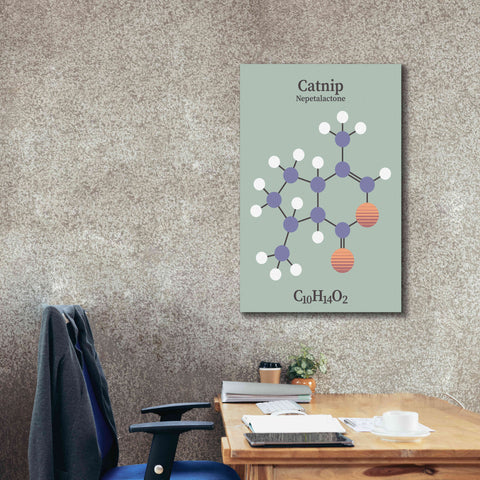 Image of 'Catnip Molecule 2' by Epic Portfolio, Giclee Canvas Wall Art,26x40