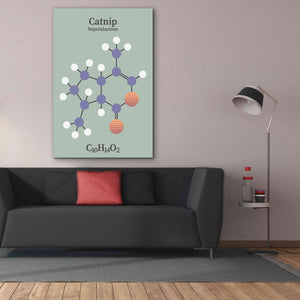 'Catnip Molecule 2' by Epic Portfolio, Giclee Canvas Wall Art,40x60