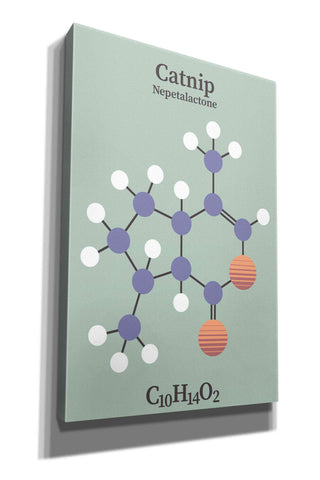 Image of 'Catnip Molecule 2' by Epic Portfolio, Giclee Canvas Wall Art