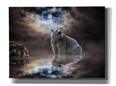 Image of 'Polar Bear Reflections' by Alan, Giclee Canvas Wall Art