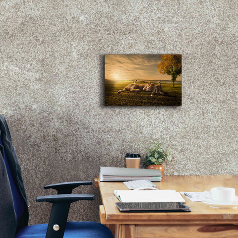 Image of 'Sunset Sleeping' by Alan, Giclee Canvas Wall Art,18x12