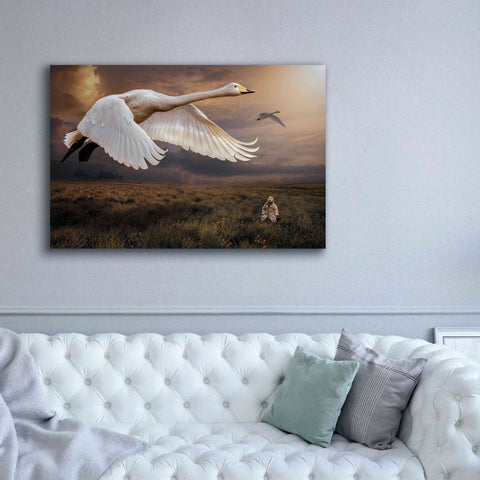 Image of 'Take Flight' by Alan, Giclee Canvas Wall Art,60x40