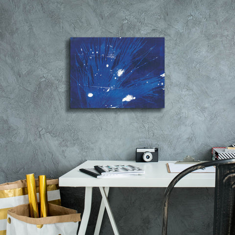 Image of 'Indigo Burst II' by Regina Moore, Canvas Wall Art,16 x 12