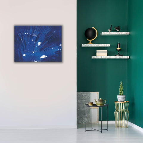 Image of 'Indigo Burst II' by Regina Moore, Canvas Wall Art,34 x 26