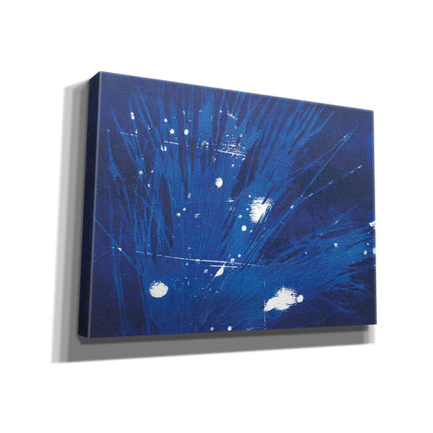 Image of 'Indigo Burst II' by Regina Moore, Canvas Wall Art