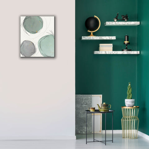 Image of 'Encircled Orbits II' by Regina Moore, Canvas Wall Art,20 x 24