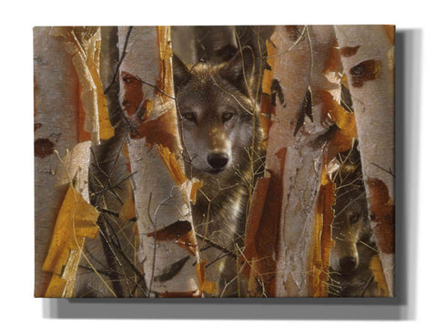 Image of 'The Guardian' by Collin Bogle, Canvas Wall Art,Size C Landscape