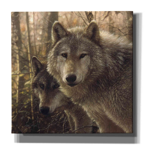 Image of 'Wood Land Companions' by Collin Bogle, Canvas Wall Art,Size 1 Square