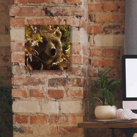 Image of 'Legend Of The Fall' by Collin Bogle, Canvas Wall Art,12x12