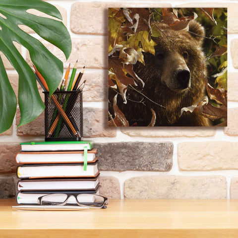 Image of 'Legend Of The Fall' by Collin Bogle, Canvas Wall Art,12x12