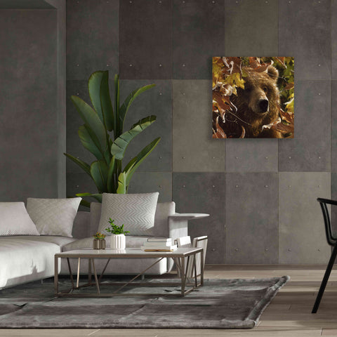 Image of 'Legend Of The Fall' by Collin Bogle, Canvas Wall Art,37x37