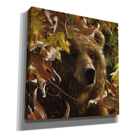 Image of 'Legend Of The Fall' by Collin Bogle, Canvas Wall Art,Size 1 Square