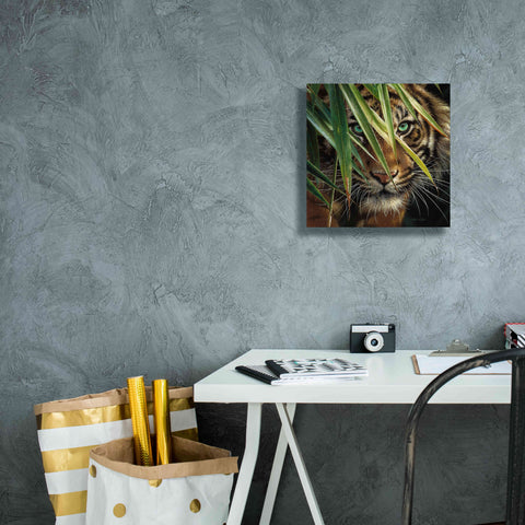 Image of 'Tiger Eyes' by Collin Bogle, Canvas Wall Art,12x12