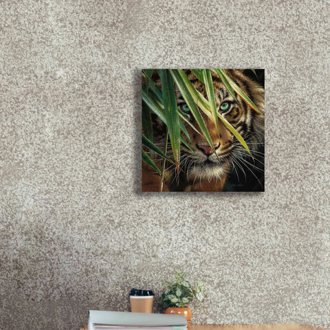 Image of 'Tiger Eyes' by Collin Bogle, Canvas Wall Art,18x18