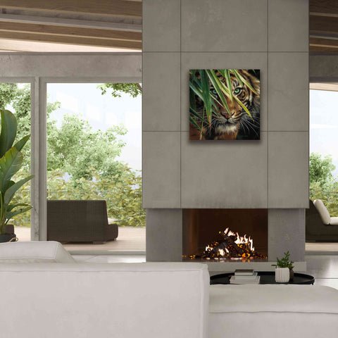 Image of 'Tiger Eyes' by Collin Bogle, Canvas Wall Art,26x26