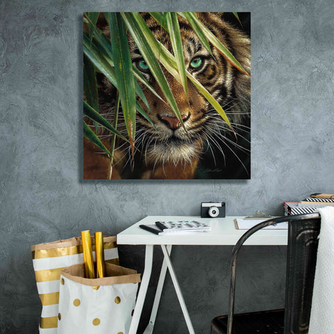 Image of 'Tiger Eyes' by Collin Bogle, Canvas Wall Art,26x26