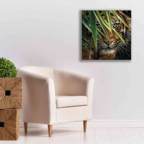 Image of 'Tiger Eyes' by Collin Bogle, Canvas Wall Art,26x26