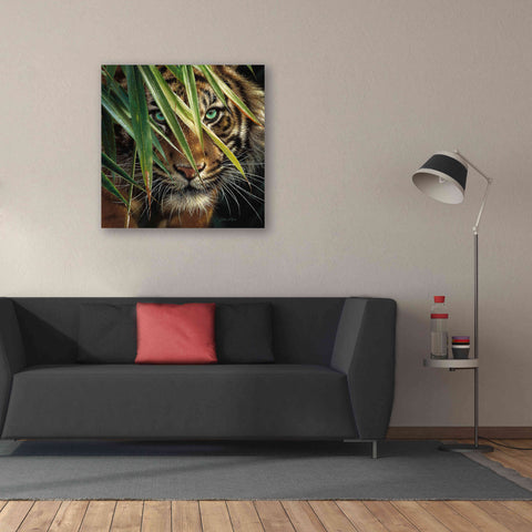 Image of 'Tiger Eyes' by Collin Bogle, Canvas Wall Art,37x37