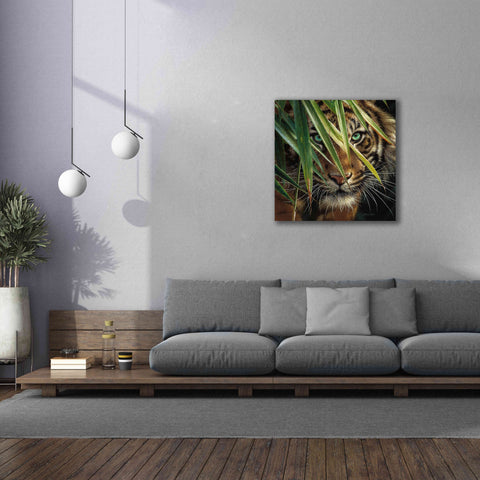 Image of 'Tiger Eyes' by Collin Bogle, Canvas Wall Art,37x37